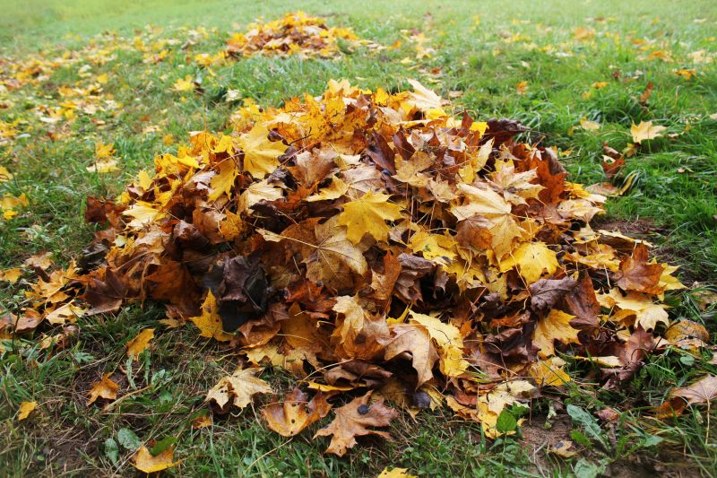 Healthy Lawn Care