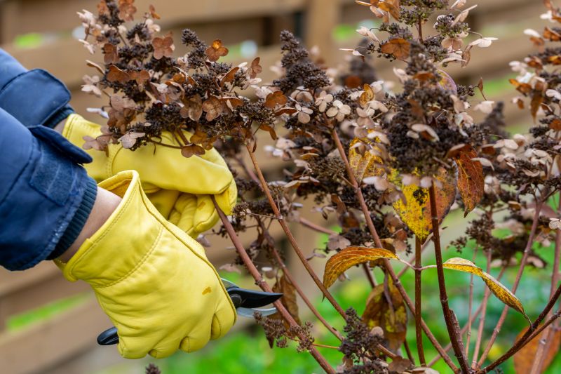 Dormant Season Benefits