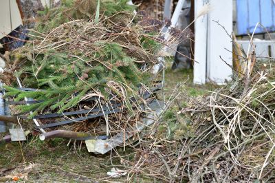 Spring Growth Considerations