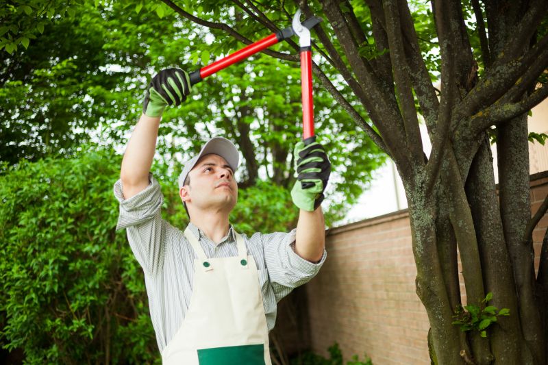Certified Arborists