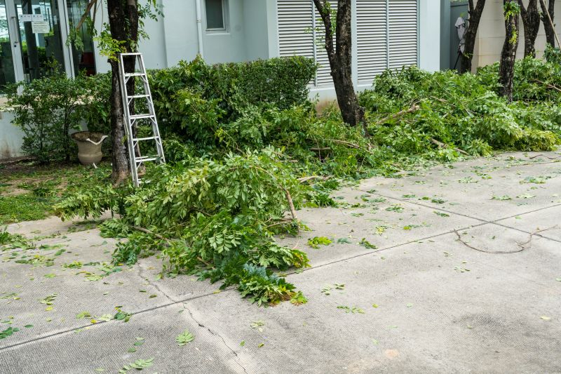 Landscaping Services
