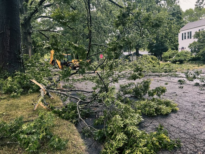 Storm Season Hazards