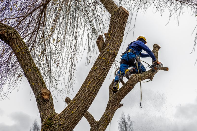 Seasonal Safety Considerations